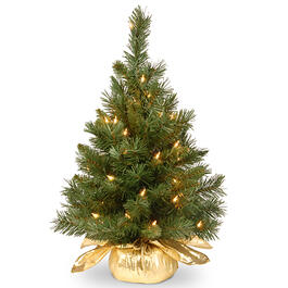 National Tree 24in. Majestic Fir Tree - Gold Bag