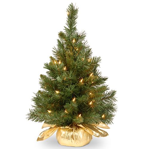 National Tree 24in. Majestic Fir Tree - Gold Bag - image 
