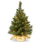 National Tree 24in. Majestic Fir Tree - Gold Bag - image 1