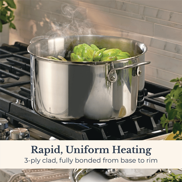 Anolon® EverLast 8qt. Tri-Ply Clad Stockpot with Lid