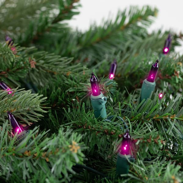 Northlight Seasonal 10ft. Purple Christmas Lights - Green Wire