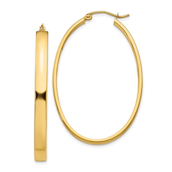 Gold Classics&#40;tm&#41; 14k 48x29mm Lightweight Oval Hoop Earrings - image 