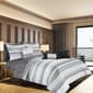 Landen Stripe 9pc. Bed in a Bag - image 1