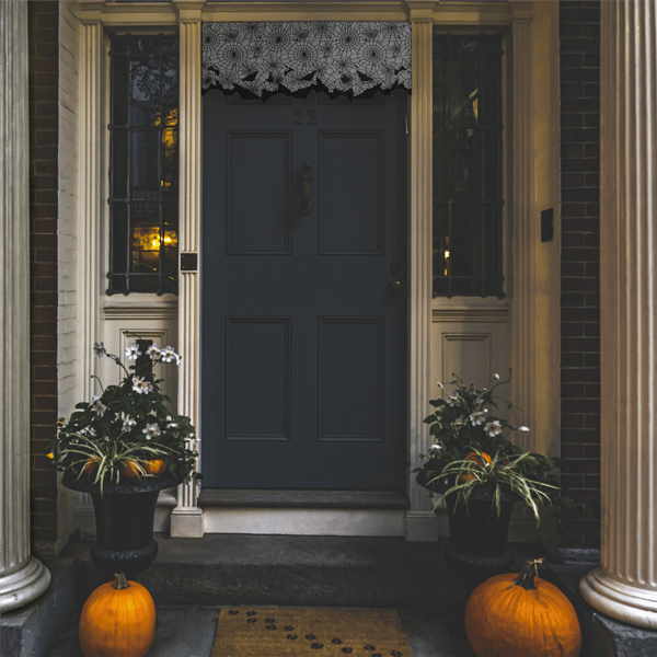 Northlight 5.25ft. Spider Webs & Bats Halloween Valance Decor