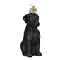 Old World Christmas Black Lab Ornament - image 2