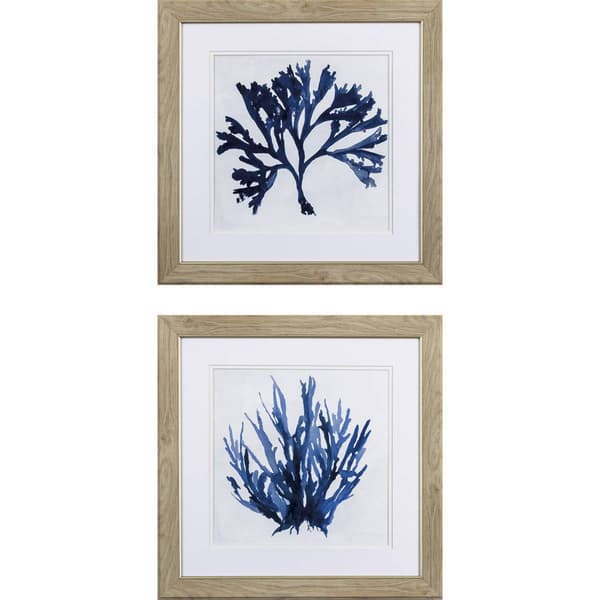 Propac Images&#40;R&#41; 2pc. Indigo Coral A Wall Art