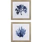 Propac Images&#40;R&#41; 2pc. Indigo Coral A Wall Art - image 1