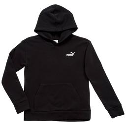 Boys (8-20) Puma(R) Essential Basics Hoodie