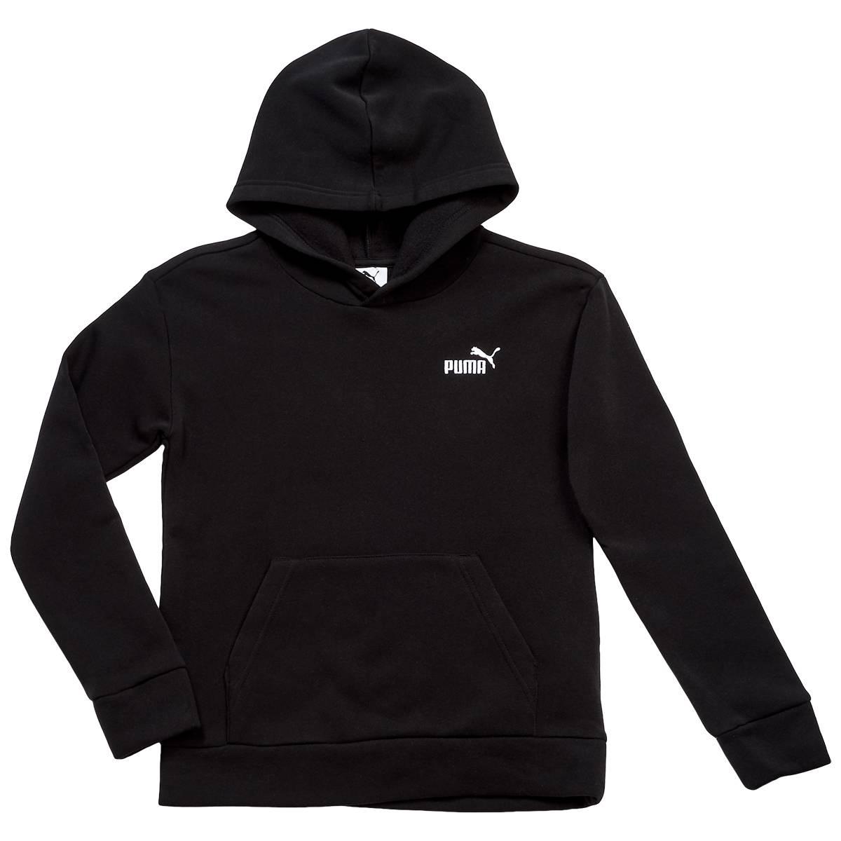 Boys (8-20) Puma(R) Essential Basics Hoodie