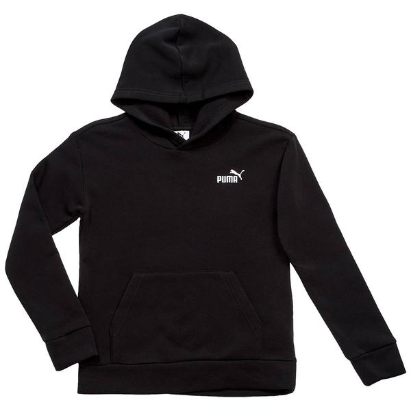 Boys (8-20) Puma(R) Essential Basics Hoodie - image 