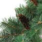 Northlight Seasonal Royal Oregon Pine Garland - 9ft. x 12in. - image 2