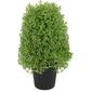Northlight Seasonal 15in. Artificial Boxwood Cone Topiary Tree - image 1