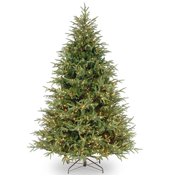National Tree 6.5ft. Clear Light Fraser Grande Tree - image 