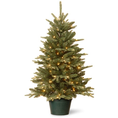 National Tree 3ft. Everyday Collection Evergreen Tree