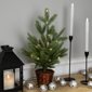 Northlight 20in. Pre-Lit Pine Christmas Tree with Basket Base - image 2