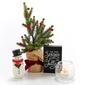 Studio 66 ''Tis the Season Decor - image 1