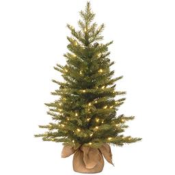 National Tree 3ft. Nordic Spruce(R) Tree with Clear Lights
