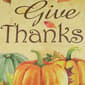 Northlight Seasonal Give Thanks Autumn Harvest Garden Flag - image 5