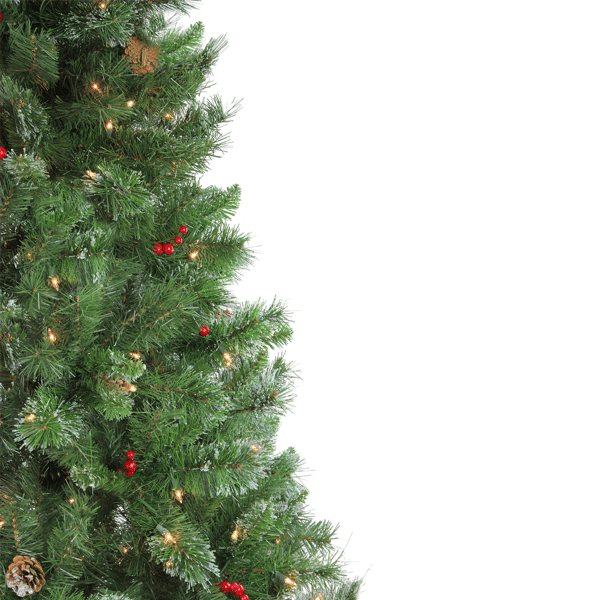 Northlight 7.5ft. Pre-Lit Mixed Pine Glittered Christmas Tree