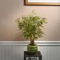 National Tree Garden Accents  22in. Bamboo Plant - image 2