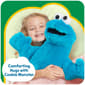 Sesame Street Big Hug Cookie Monster - image 3