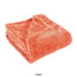Superior Ultra-Plush Fleece Blanket - image 8