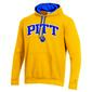Mens Champion University of Pittsburgh Pullover Hoodie - image 2