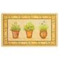 Mohawk Home Potted Herb Garden Kitchen Mat - image 1