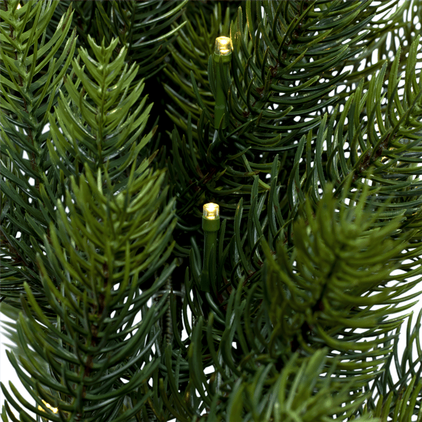 Northlight Real Touch™ 24in. LED Noble Fir Christmas Wreath