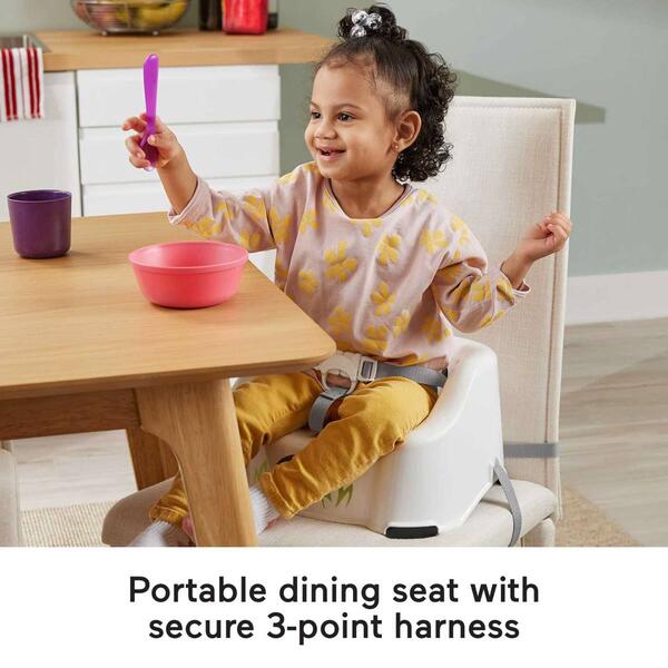 Fisher-Price&#174; Simple Clean & Comfort Booster Seat
