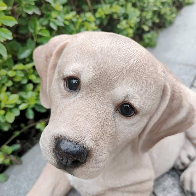 Hi-Line Gift Lying Yellow Labrador Garden Statue