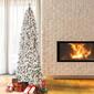 National Tree 9ft. Acacia Flocked Pre-Lit Christmas Tree - image 2