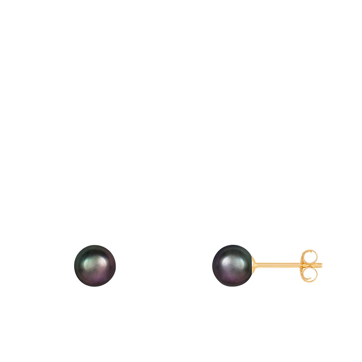 Splendid Pearls 14kt. Gold 5mm Round Pearl Stud Earrings