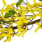 Northlight Seasonal Artificial Forsythia & Berry Spring Garland - image 5