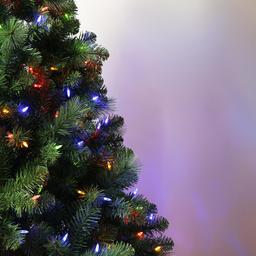 7ft. Life Like Stockton Pine Pre-Lit Christmas Tree
