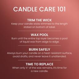 Yankee Candle® 20oz. Sparkling Cinnamon Tumbler Candle