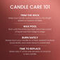 Yankee Candle® 20oz. Sparkling Cinnamon Tumbler Candle - image 2