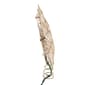 Kurt Adler 10-Light Arabesque Capiz Star Treetop - image 3