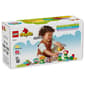LEGO&#174; DUPLO Creative Garden & Flowers - image 8