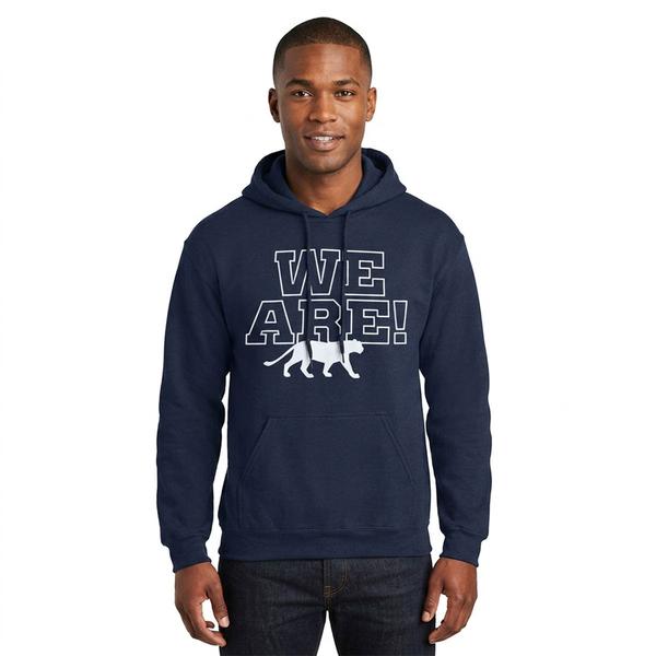Mens Tailgate We Are! Solid Hoodie - image 