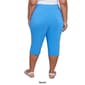 Plus Size Ruby Rd. Key Items Tech Pull-On Clamdigger - image 2