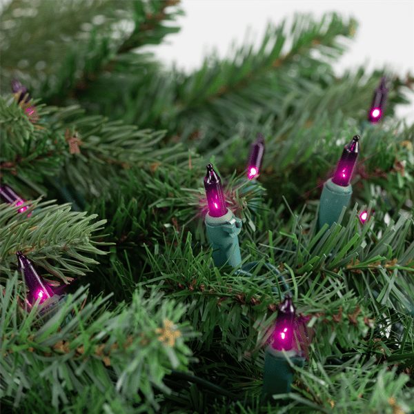 Brite Star 24.5ft. Purple Mini Christmas Green Wire Light Set