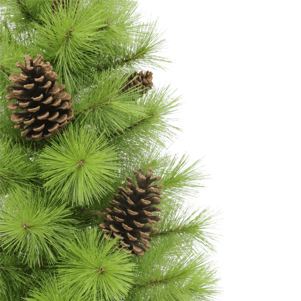 Puleo International 4.5ft. Pre-Lit Arkansas Pine Christmas Tree