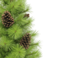Puleo International 4.5ft. Pre-Lit Arkansas Pine Christmas Tree - image 5