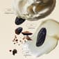 Philosophy Fresh Cream Eau de Toilette - image 3