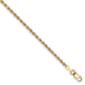 Gold Classics&#40;tm&#41; 10kt. 9in. Diamond-Cut Rope Chain Anklet - image 1