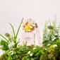 Marc Jacobs Daisy Eau So Fresh Eau de Toilette Body Lotion Set - image 8