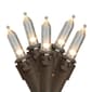 Northlight Seasonal 100 White LED Mini Christmas Lights - image 1