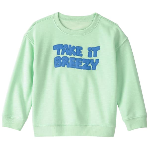 Toddler Boy Carter''s Take It Breezy Ls Pullover Sweatshirt - image 