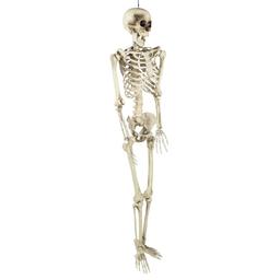 Northlight Seasonal 5ft. Life Size Skeleton Halloween Decoration